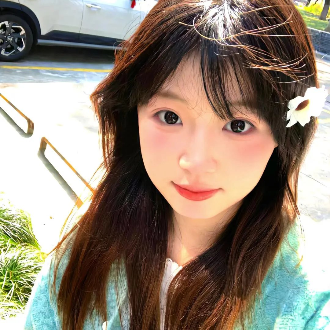 暴龙真相